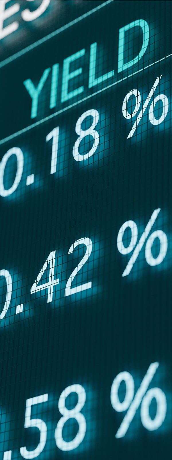 Digital Bonds and the Future